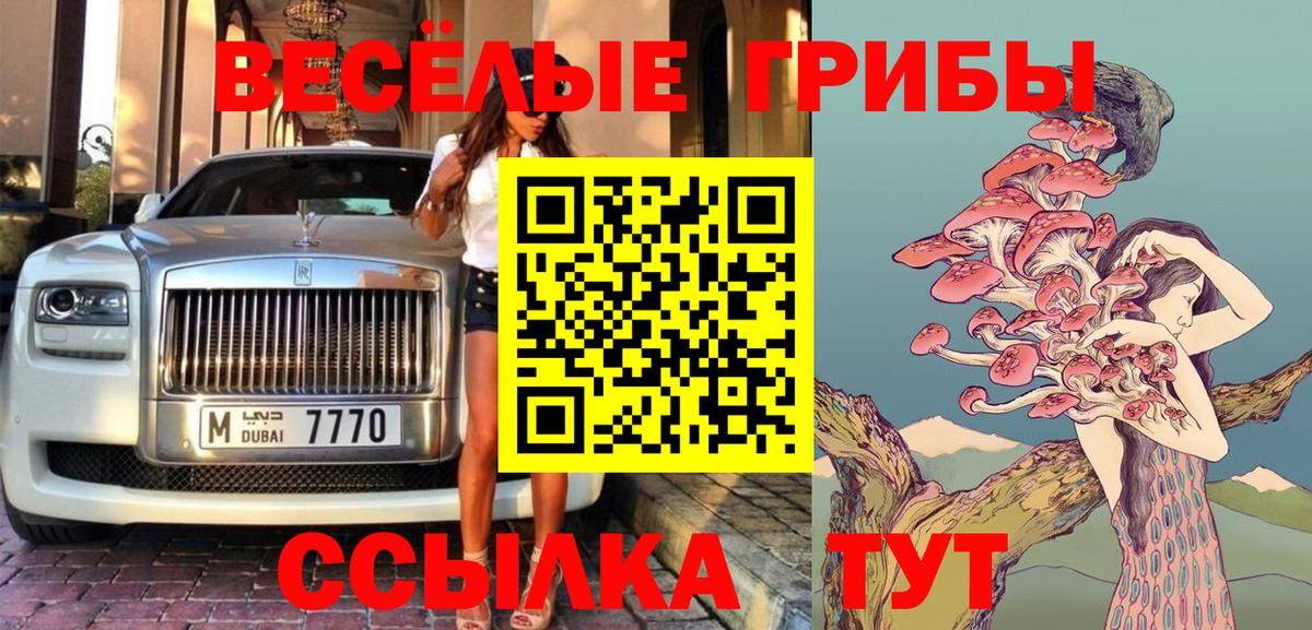 Псилоцибиновые грибы Psilocybe  Вход с VPN  Ярославль 